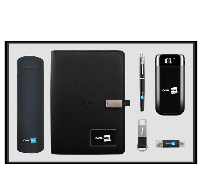 Premium Executive Gift Set with Stainless Steel Bottle, Power Bank & Custom Logo Tech Accessories